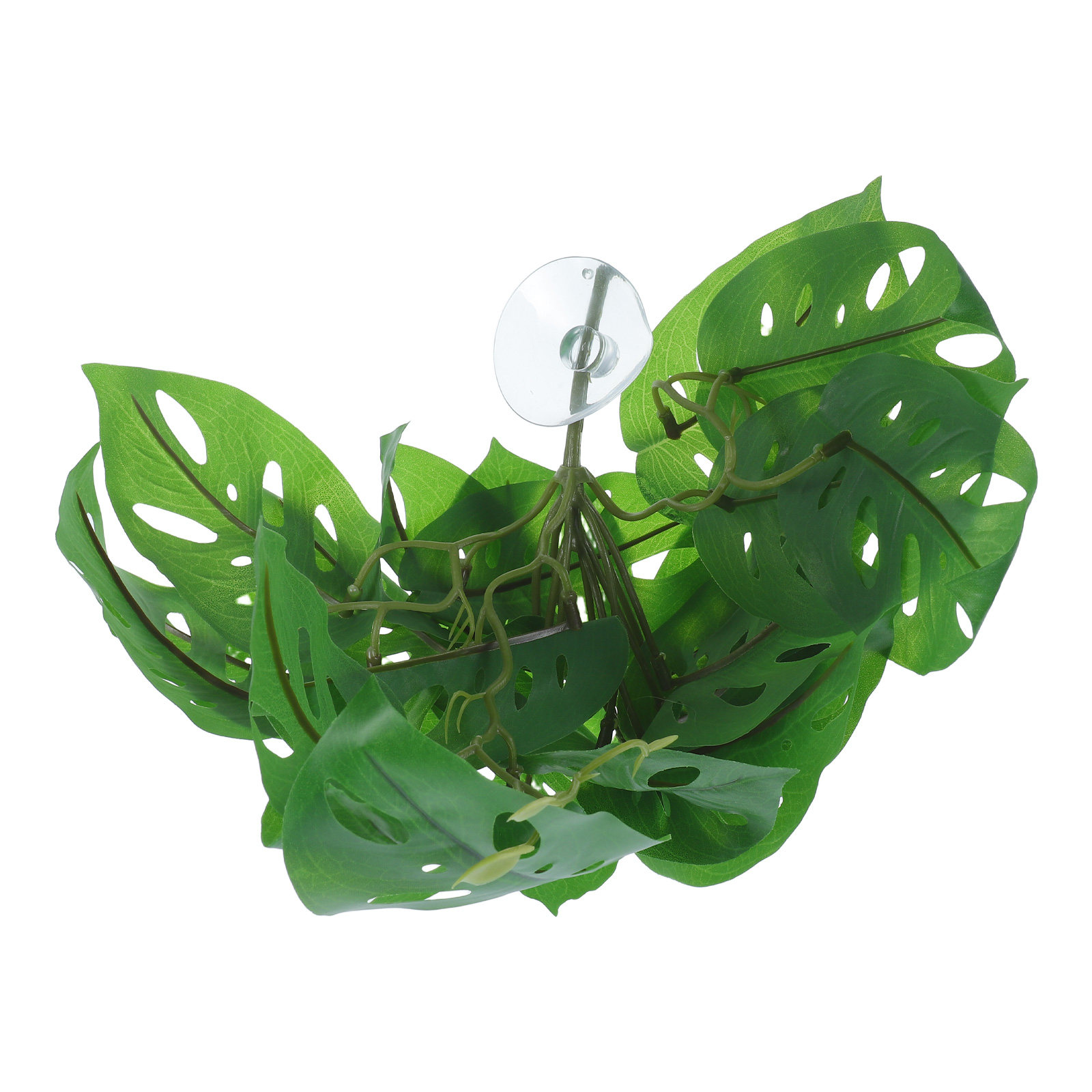 Snake Plant - Decoração para Habitat de Répteis, Plantas