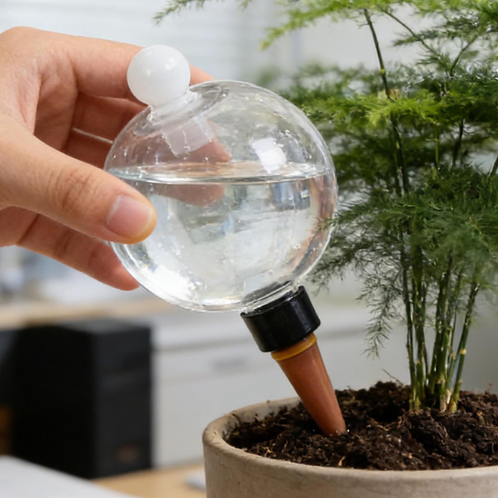 Bolas de Rega Automática para  - Succulent Set avaliação e preço