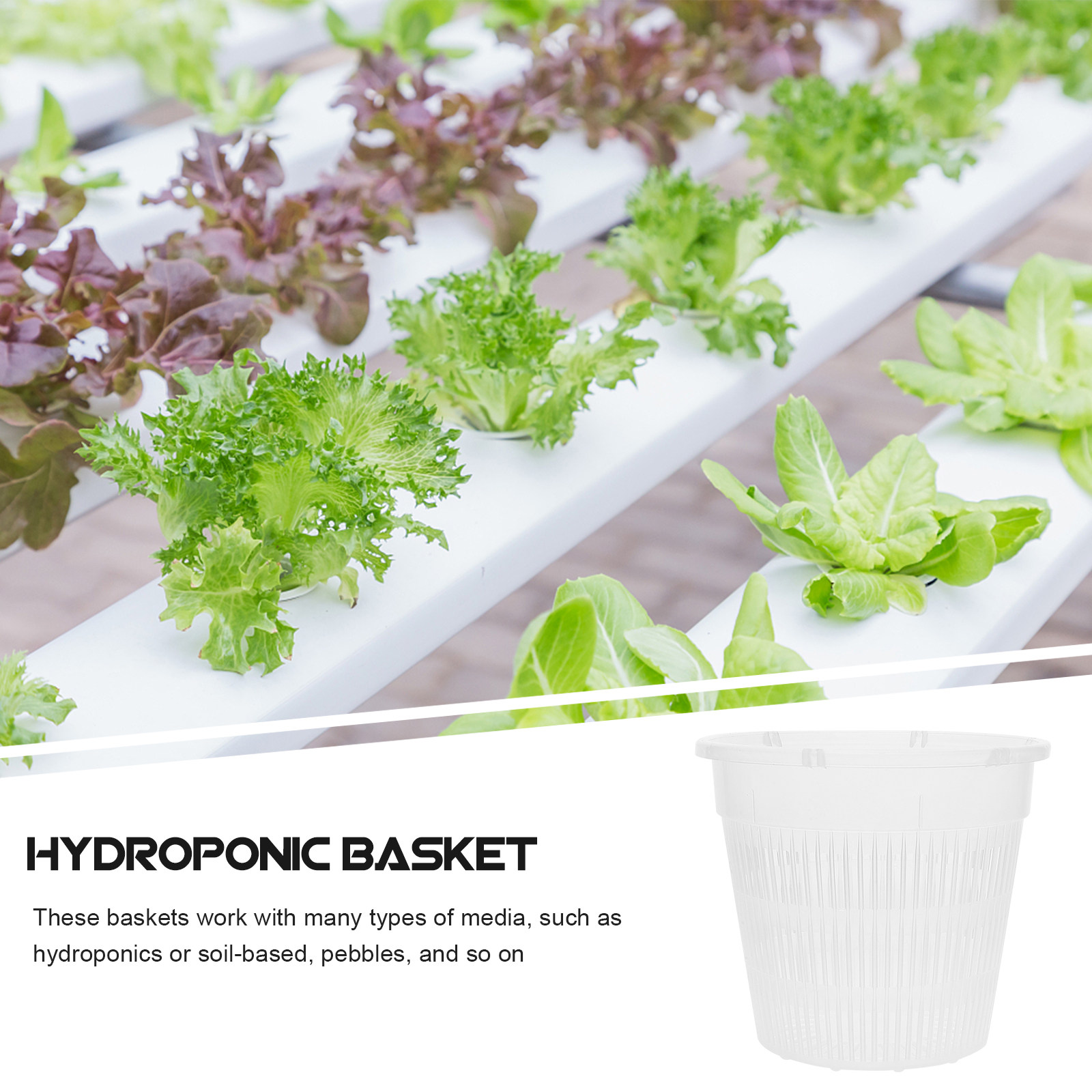 5 unidades de vasos de rede pa - Indoor Plants avaliação e preço