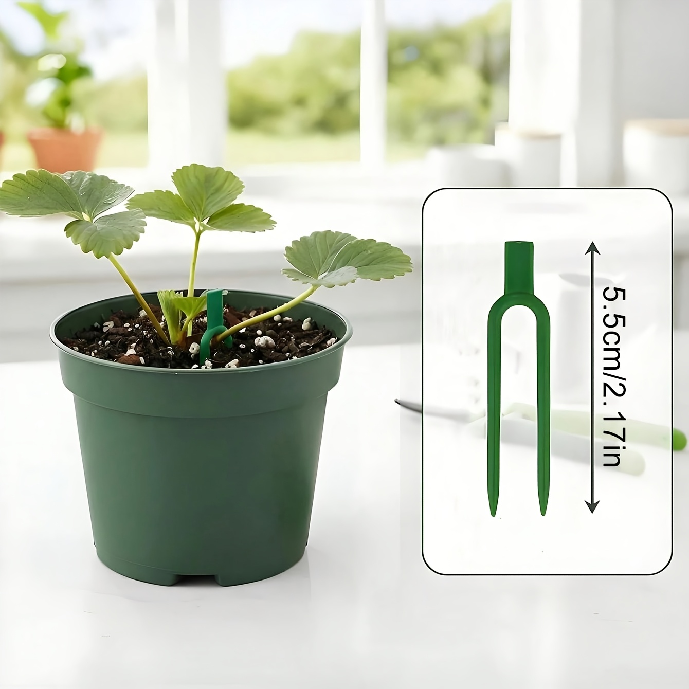 30/20/5 peças de Estacas de Ja - Plant Support Stake avaliação e preço
