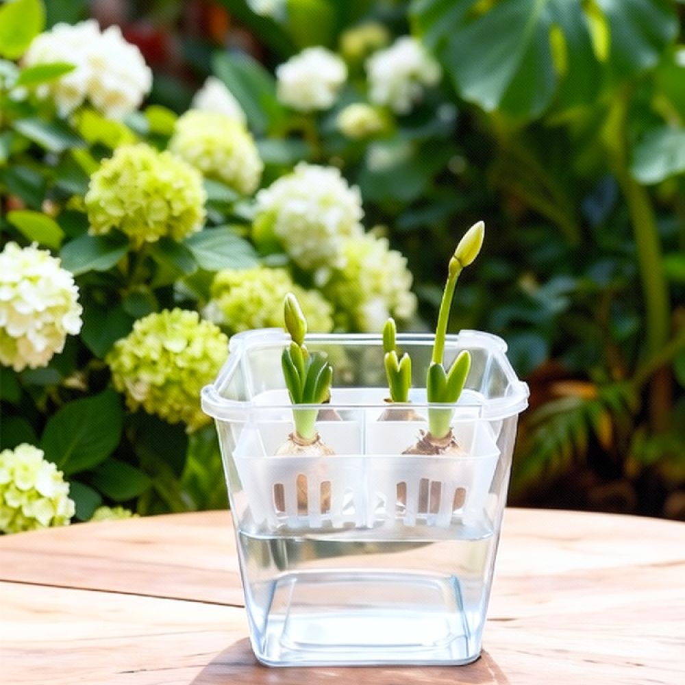 Vaso hidropônico para tulipas  - Indoor Plants avaliação e preço