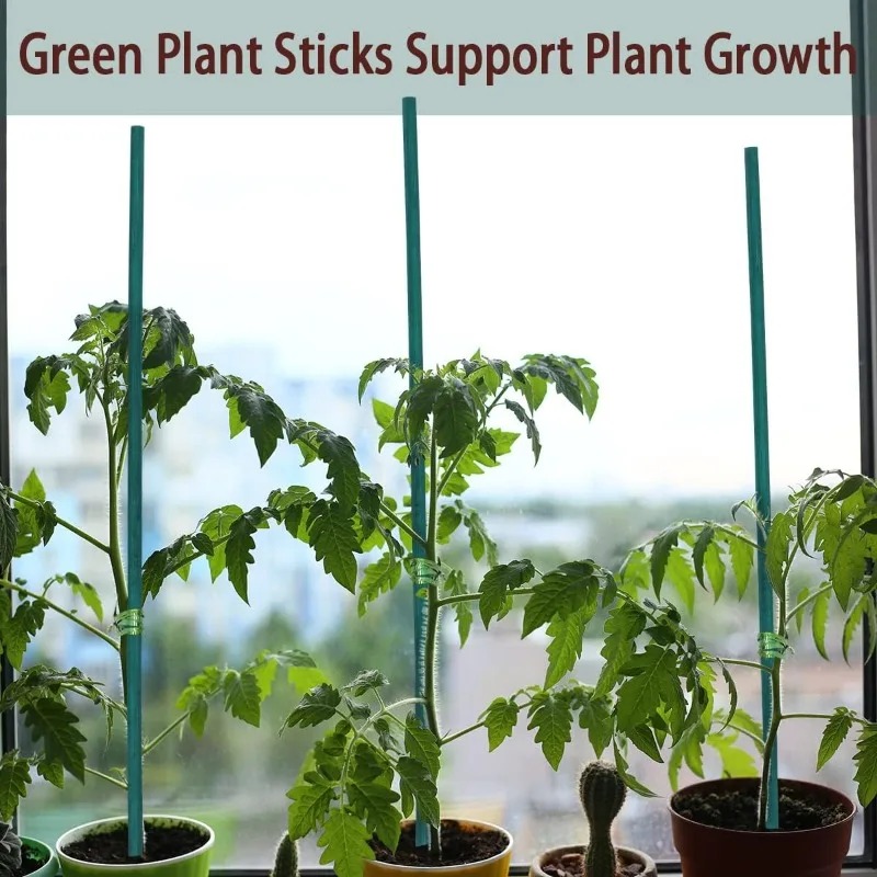 Estacas de Suporte para Planta - Plant Support Stake avaliação e preço