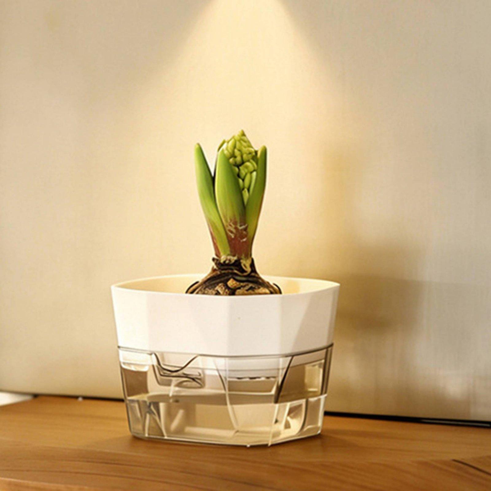 Vaso Hidropônico de Duas Camad - Indoor Plants avaliação e preço