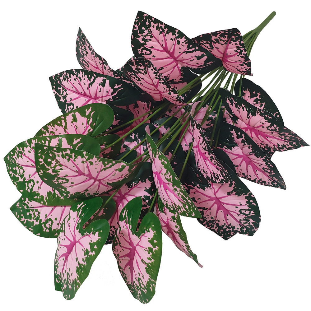 Folha rosa vasos de plantas ar - Snake Plant avaliação e preço