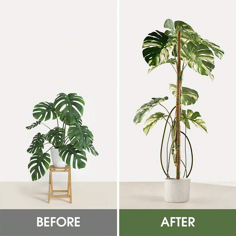 Suporte para Plantas Moss Pole - Plant Support Stake avaliação e preço