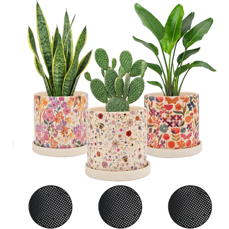 3 Peças de Vasos de Cerâmica F - Snake Plant Ceramic avaliação e preço