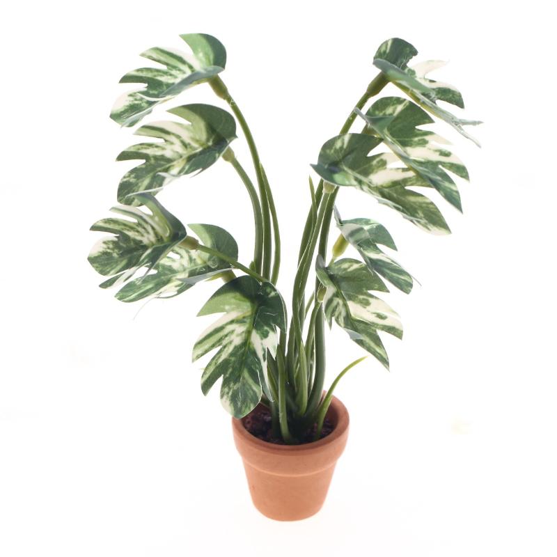Novo. 1PC Planta Verde Monster - Plant Pot avaliação e preço