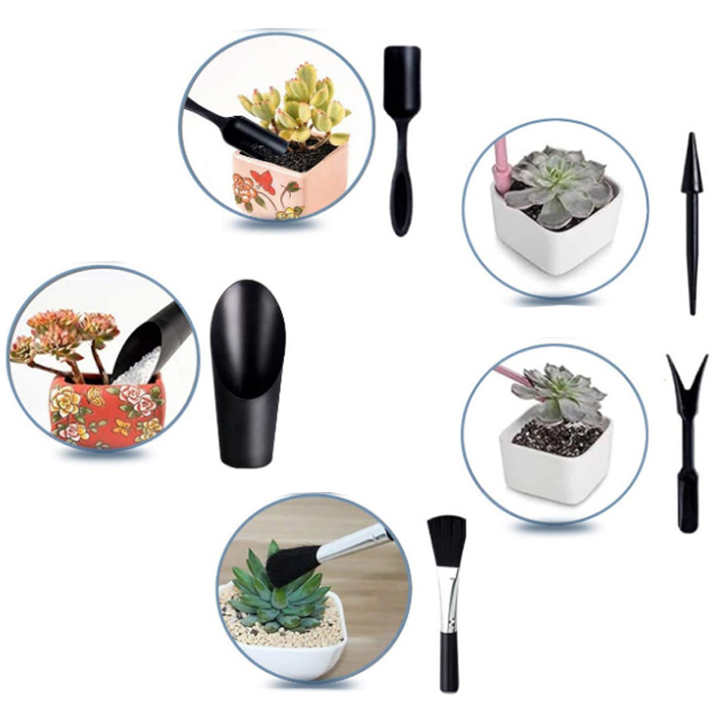 Mini conjunto de ferramentas d - Succulent Set avaliação e preço